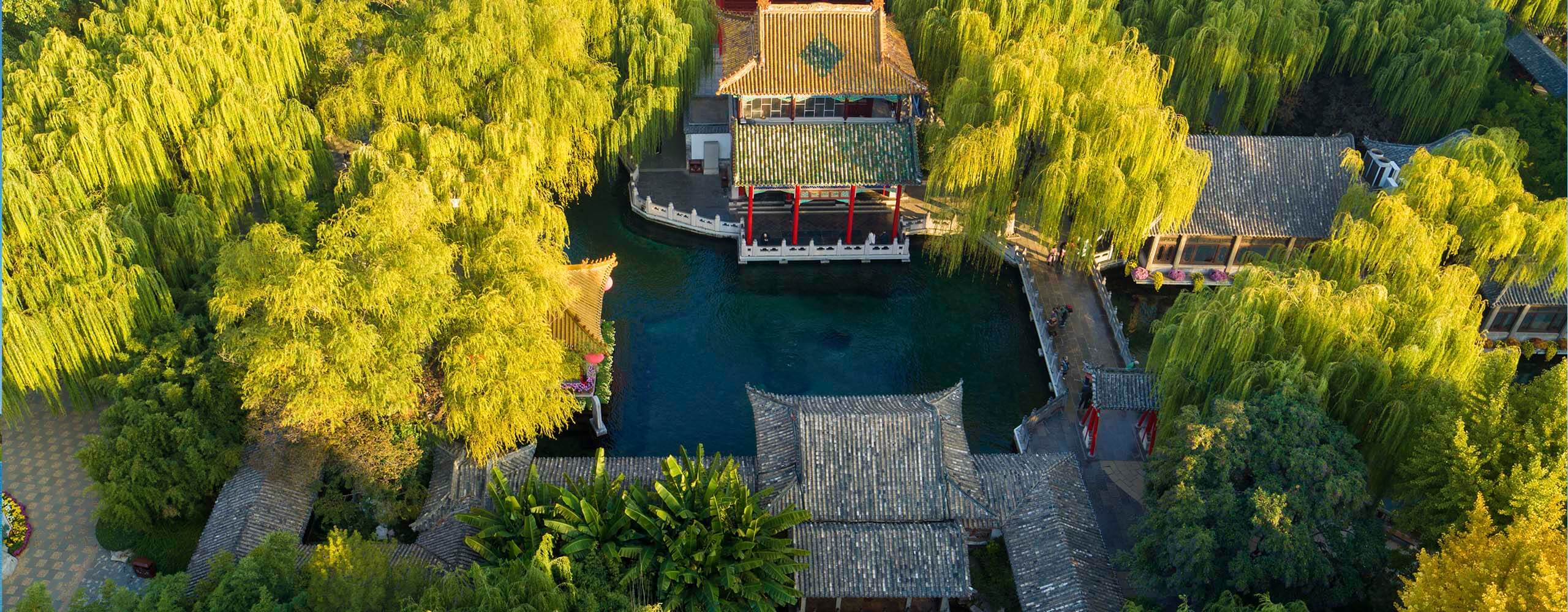 慧行化清流
